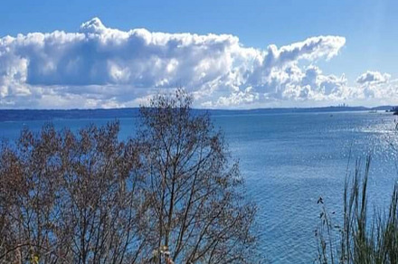 beautiful view of the sea