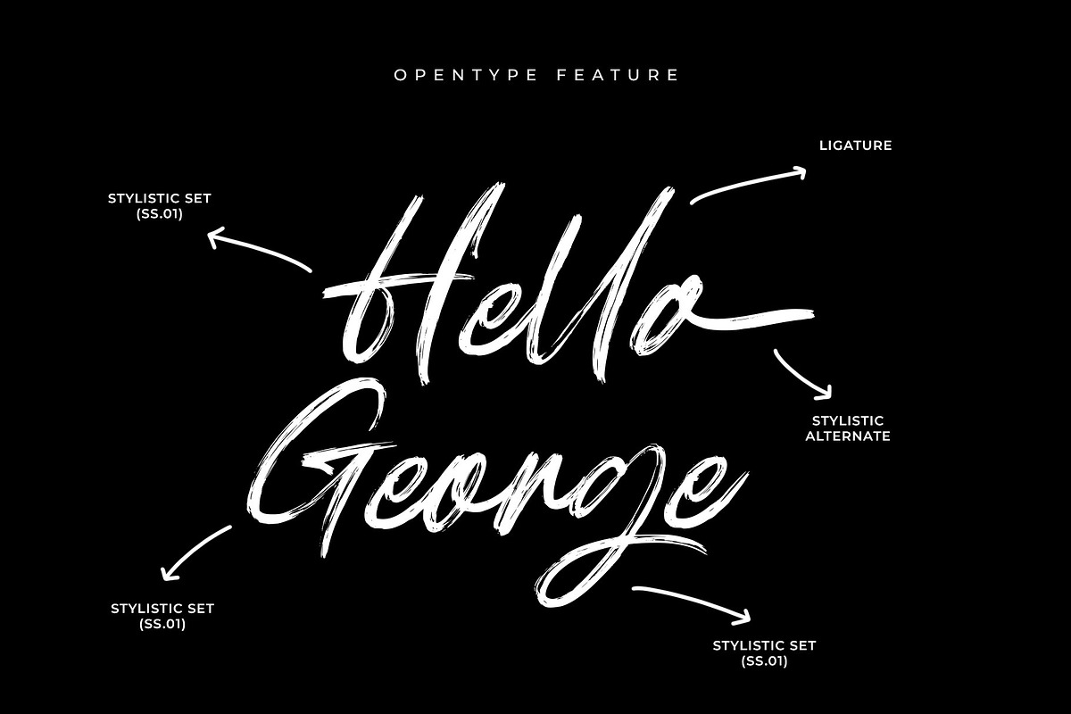 Raytune Signature Brush Typeface, a Script Font by RantautypeStudio (Photo 8 of 15)