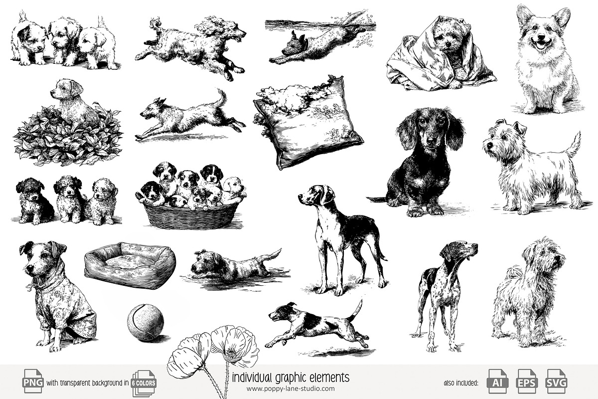 95 line art Dogs clip art, an Animal Illustration by Poppy Lane Studio (Photo 3 of 11)