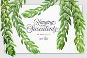 Succulent Burro's Tail Isolated, an Object Graphic by Turning Moss (Thumbnail 5 of 6)