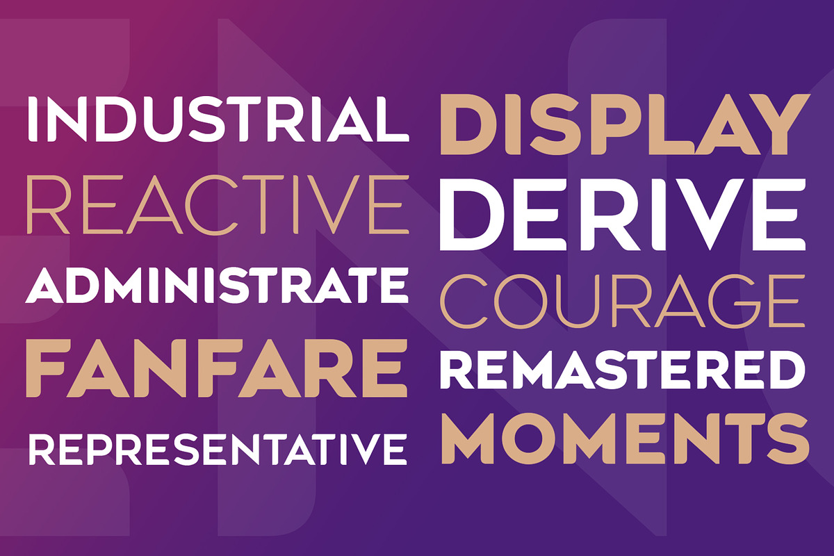 Agenor Font Family, a Sans Serif Font by Graphite_Studios (Photo 3 of 7)