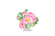 Watercolor lotus flower clipart, an Illustration by OlDm_Shop (Thumbnail 10 of 10)
