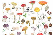 Watercolor mushrooms collection, a Pattern Graphic by ramika (Thumbnail 3 of 5)