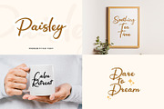 100 Handwritten Script Fonts Bundle, a Script Font by Fonteca (Thumbnail 5 of 10)
