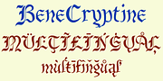 BeneCryptine, a Blackletter Font by Ingrimayne Type (Thumbnail 6 of 6)