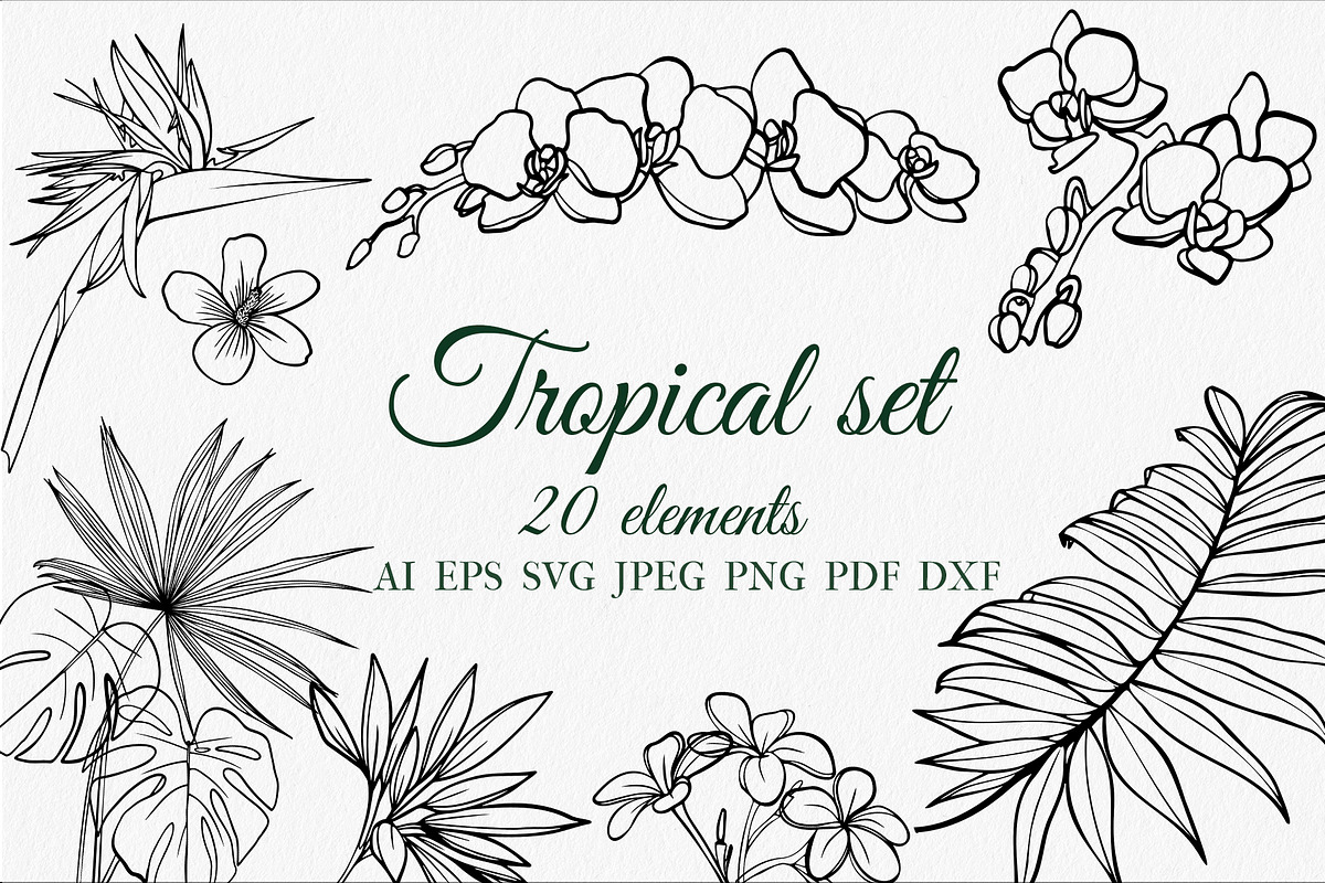 Tropical set SVG, an Object Graphic by mArtstore (Photo 1 of 5)