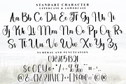 Birthday Present, a Handwritten Font by FreshTypeINK (Thumbnail 6 of 8)