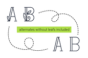 Amurez - delicate natural font, a Serif Font by wowomnom (Thumbnail 3 of 3)