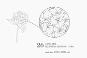 Bouquets roses & hydrangea, an Illustration by Kotkoa (Thumbnail 4 of 8)