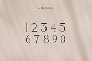 Blatherskite, a Serif Font by Rishsketch (Thumbnail 9 of 12)