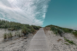 Wooden path with dune meadows & sky
