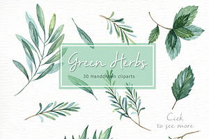 Green Herbs Watercolor Clipart