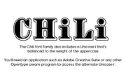 Chili Font Family Complete, a Slab Serif Font by FontMesa (Thumbnail 8 of 8)