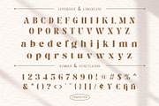 Versyla - Classic & Modern Serif, a Serif Font by Almeera Std (Thumbnail 4 of 6)