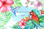 Big tropical bundle, an Illustration by artdreamer (Thumbnail 1 of 10)