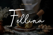 Fellina - Monoline Script Font