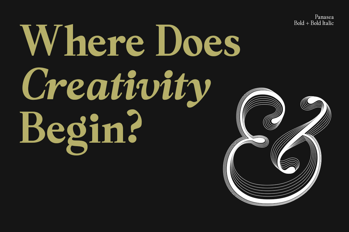 Panasea | 12 Fonts, a Serif Font by Skinny Type (Photo 14 of 15)