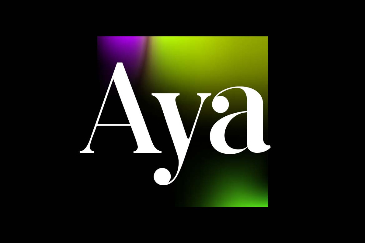 Asimilates Modern Classic Serif Font, a Serif Font by UICreative (Photo 11 of 13)