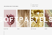 Soft Pastel Stock Photos Bundle 280, a Nature Photo by Tale.Haus (Thumbnail 2 of 19)