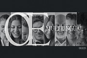 Billiers | Modern Ligature Typeface, a Serif Font by Almeera Std (Thumbnail 11 of 12)