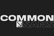 Common Sans Wide Display Font, a Sans Serif Font by GRAPHLAB (Thumbnail 1 of 5)