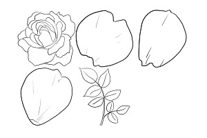 Rose Outline Set 2 Procreate Brush