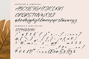 Midnight Horizon, a Script Font by Integritype Studio (Thumbnail 13 of 15)