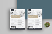Capability Statement Bundle, a Flyer Template by obayes (Thumbnail 3 of 10)