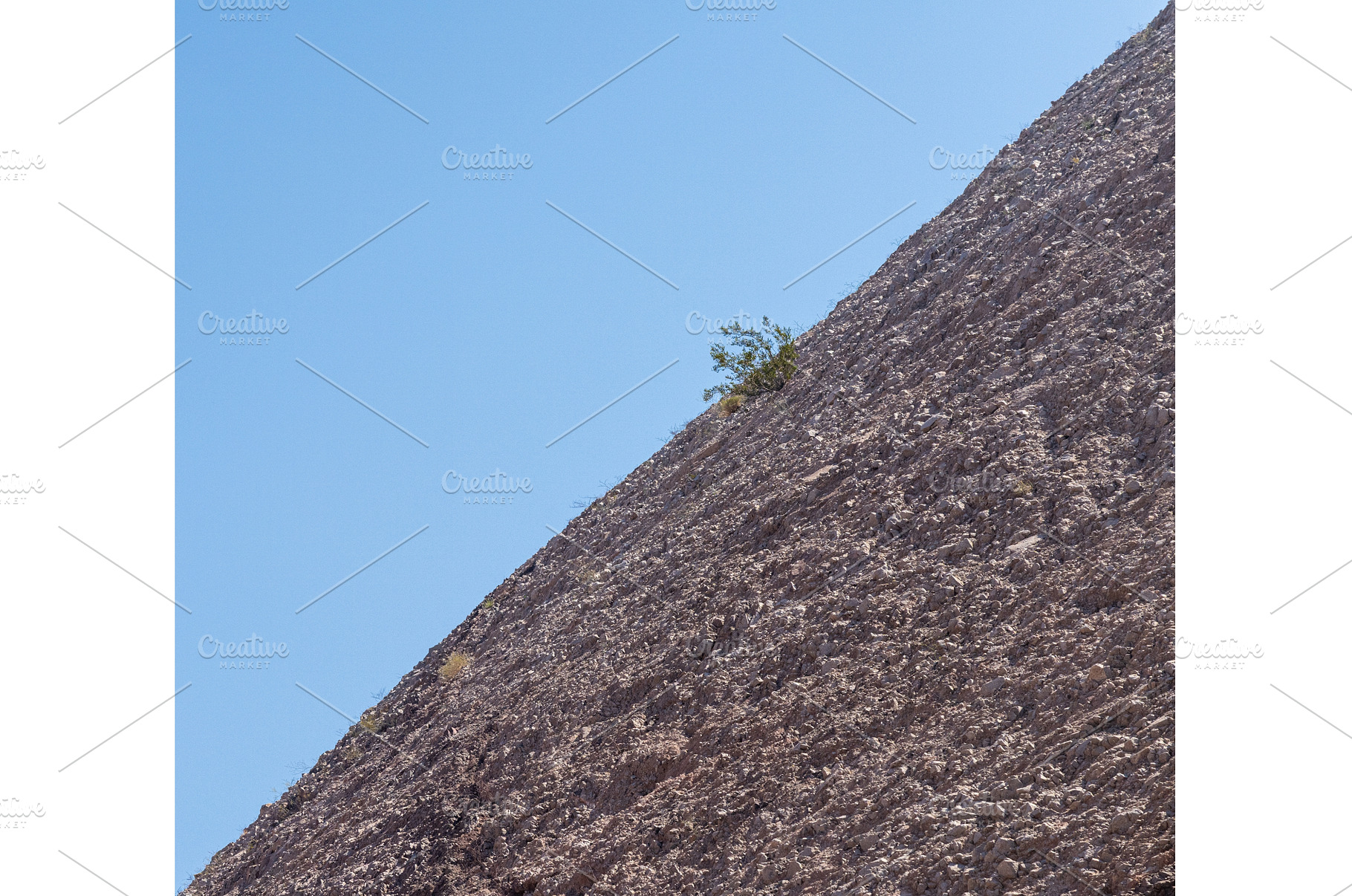 Small bush clinging to life on arid, a Nature Photo by Backyard Stock