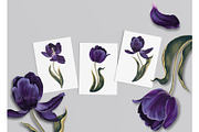 Dark Tulips Vector Set, a Background Graphic by MarynaPetrovska (Thumbnail 7 of 13)