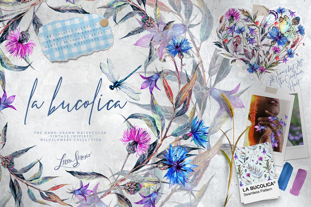 La Bucolica | Meadow Wildflowers Set, an Illustration by Inna Sinano (Photo 1 of 9)