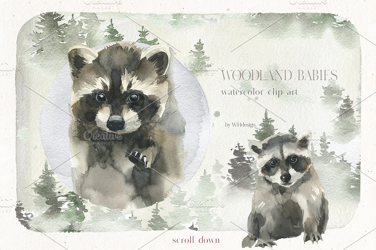 Woodland Babies Wild Animals Clipart, an Animal Illustration by whiteheartdesign (Photo 10 of 28)