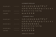 Ardellea, a Serif Font by din-studio.com (Thumbnail 8 of 16)
