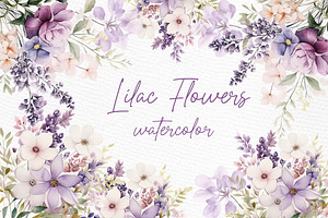 Watercolor Lilac Flowers Png Spring