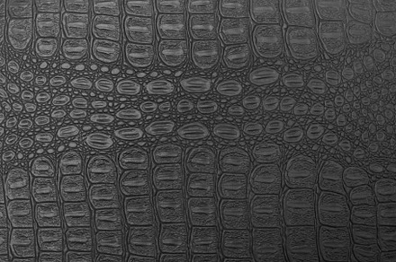 Black crocodile leather texture stock photo containing crocodile and leather, an Abstract Photo by Eugene_Photo