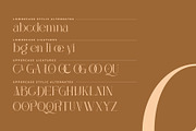 Aqub - Modern Serif Font, a Serif Font by Nirmana Visual (Thumbnail 5 of 10)
