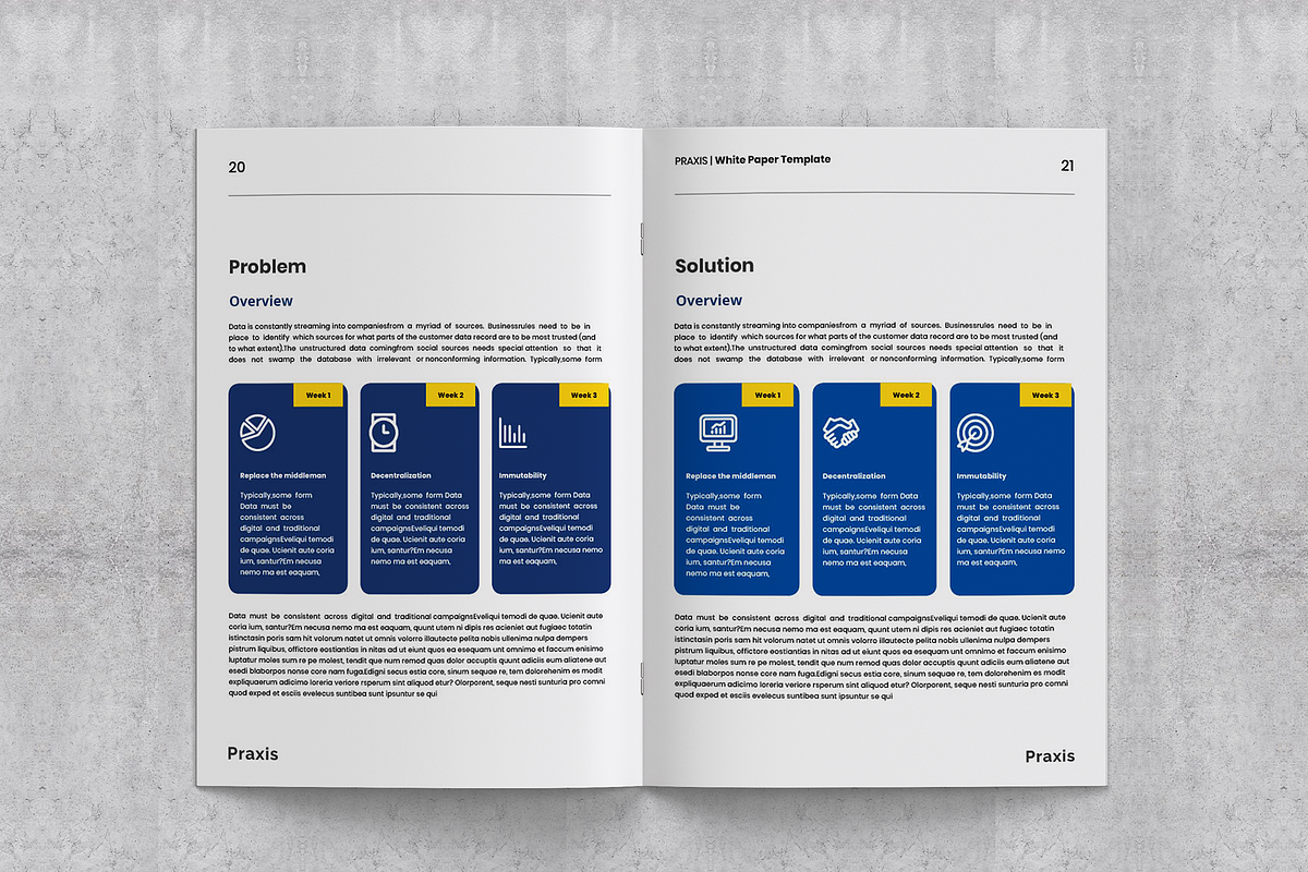 White Paper Template, a Brochure Template by azadcsstune (Photo 12 of 15)