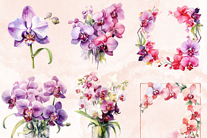 Watercolor Pink Orchid Flowers Set