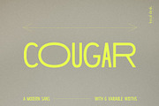 Cougar – Variable Widths Sans, a Sans Serif Font by Local Desk Designstudio (Thumbnail 17 of 19)