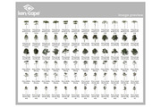 72 Tall Trees Photo Overlays, a Nature Photo by KenScape (Thumbnail 3 of 4)