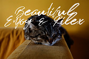 Brush Tangse, a Script Font by Raseuki (Thumbnail 5 of 8)