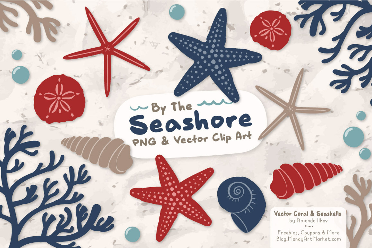 Seashells Clipart in Americana, an Illustration by Amanda Ilkov (Photo 1 of 5)