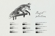 Pencil Brush Set for Procreate, a Brush Add-On by Pencil Twist (Thumbnail 2 of 9)