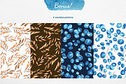 Water Lily Story, an Illustration by Gray Cat Graphics (Thumbnail 5 of 6)