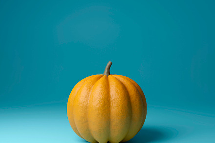 3d rendered illustration of a big, orange, pumpkin, a Food & Drink Photo by RF Images
