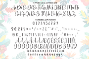 Tropical Handmade | Script Font, a Handwritten Font by Scratchones (Thumbnail 7 of 9)