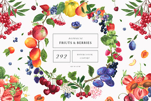 Fruits & Berries Botanical