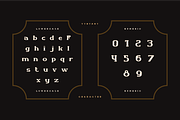 Vyntary - Vintage Slab Font, a Font by Hanstype.com (Thumbnail 4 of 10)