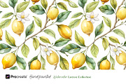 Watercolor Lemons Clipart & Pattern, an Object Graphic by crafty (Thumbnail 10 of 15)