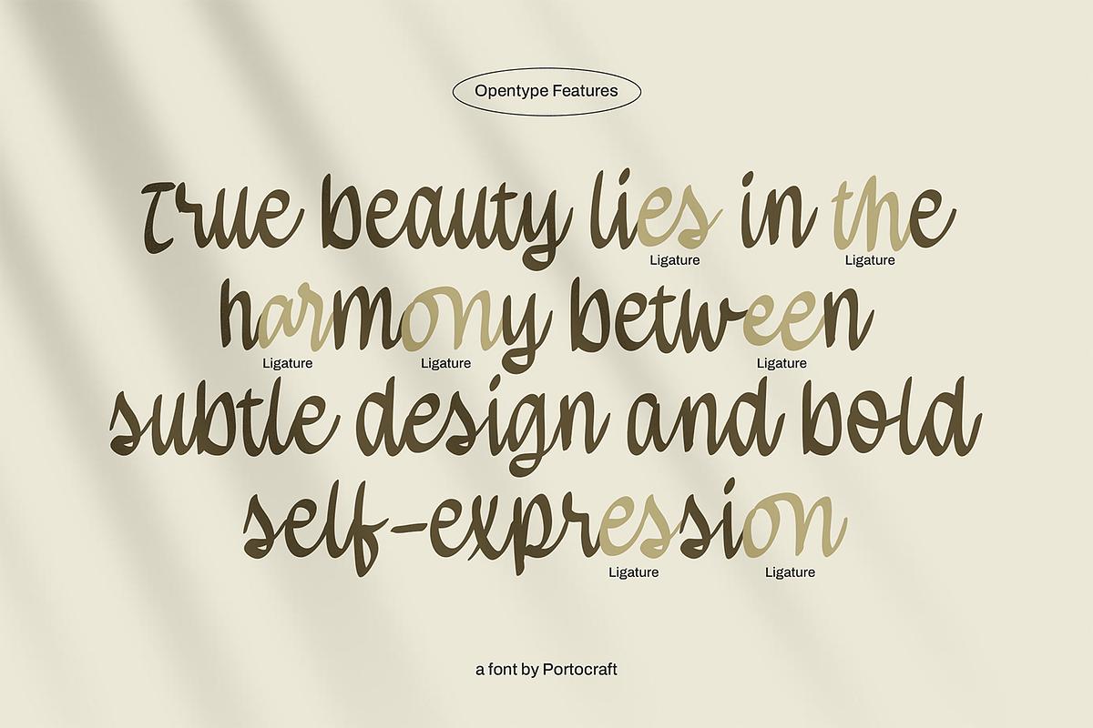Brientsa Classic Script, a Handwritten Font by Portocraft (Photo 3 of 10)